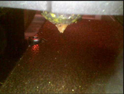 Endoscope Camera Mount for Ender 3 v3 SE