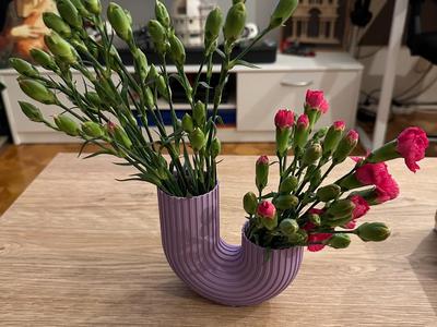 Double vase one