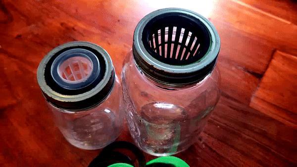 Adapter for net cup, kratky mason jar