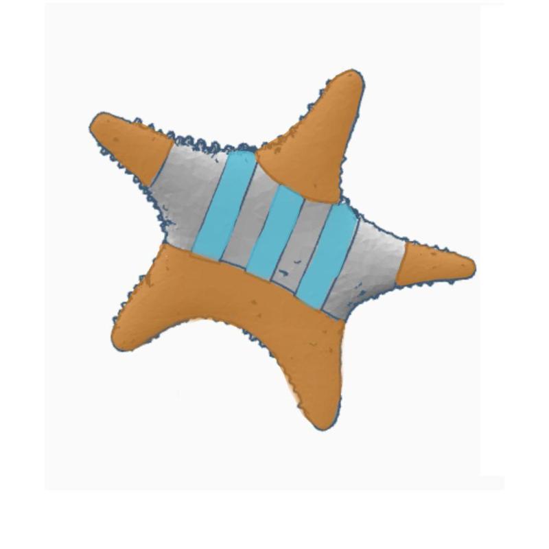 CONICET star with argentinean t-shirt (short sleeve)