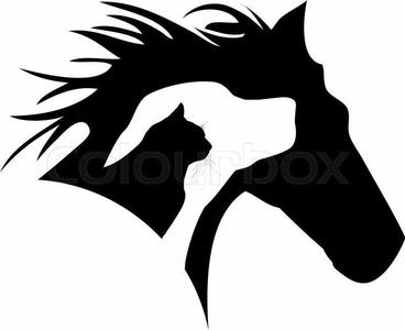cat dog horse