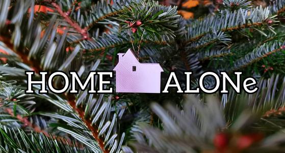 Home Alone Christmas Decoration