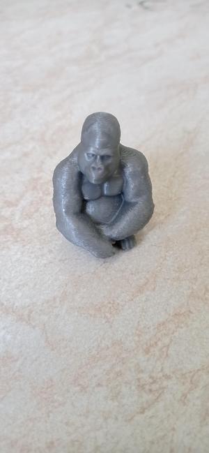 Gorilla