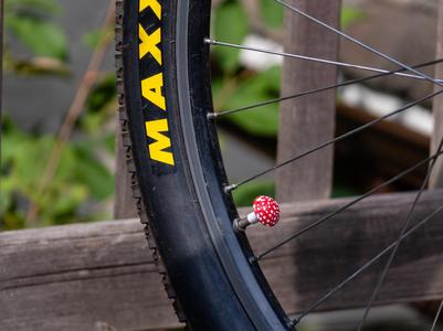 Mushroom Bike Valve Cap