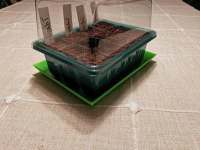 Auffangschalen für Anzuchtschalen (stapelbar)