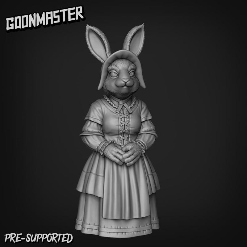 Rabbit Villager 4
