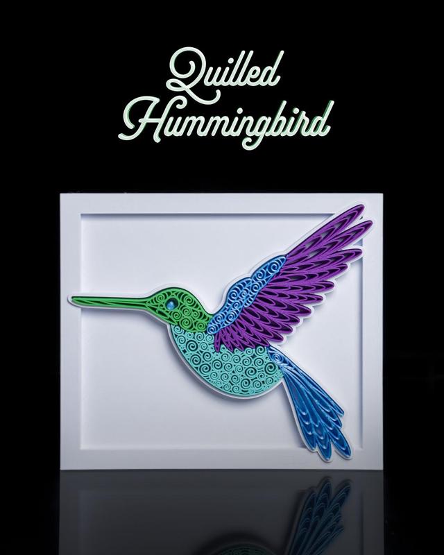 Quilled Humming Bird