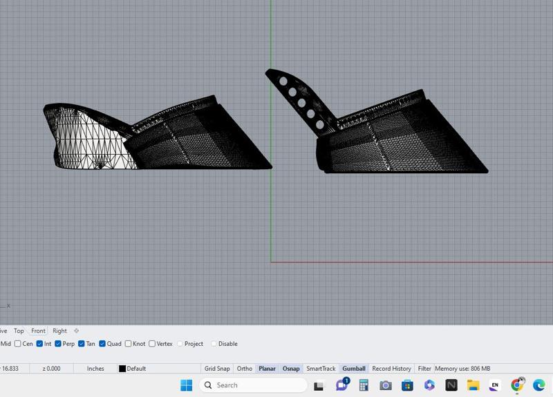 Hoof Shoe with wedge heel