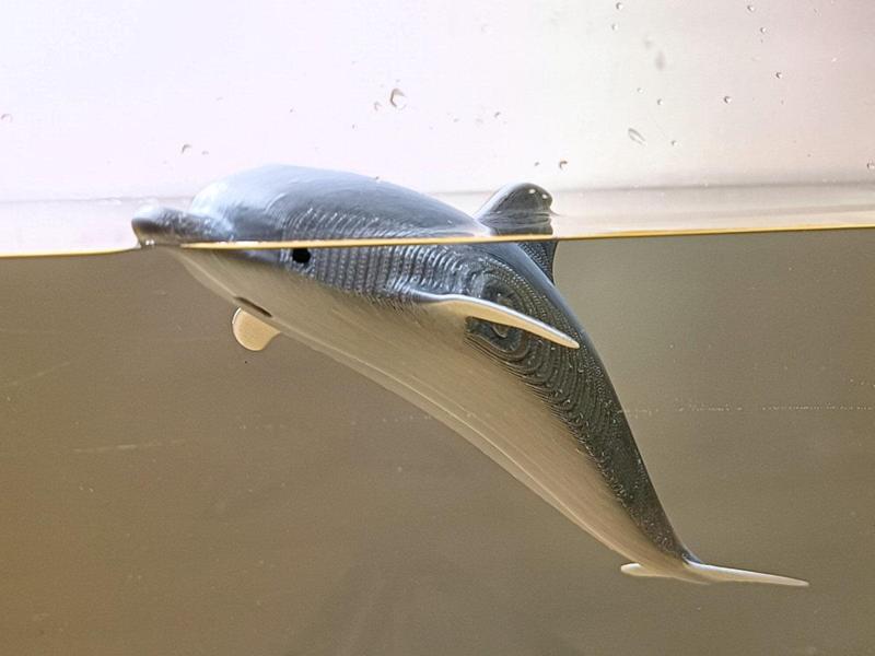 Dolphin for Bathtub or Pool