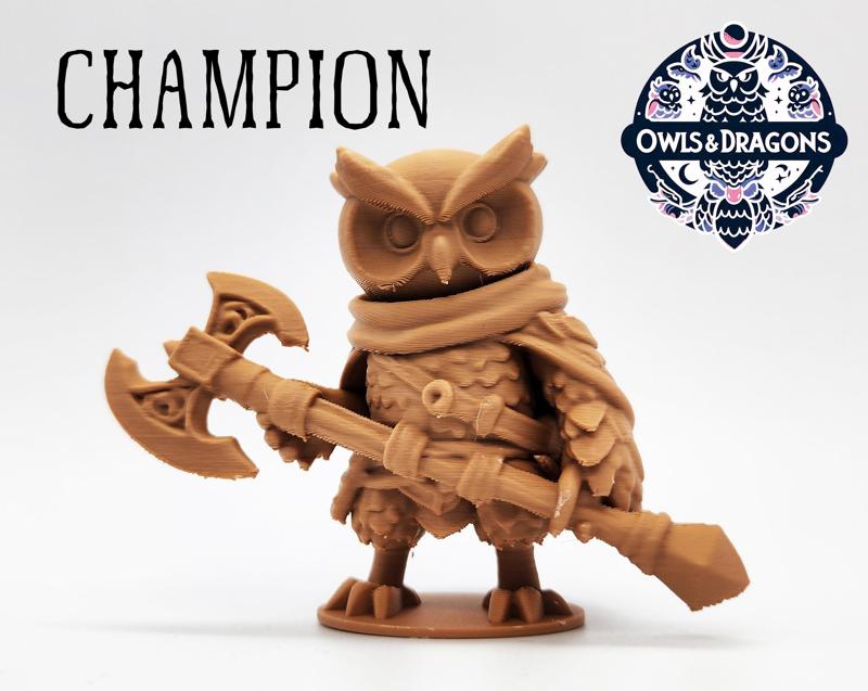 The Champion - Owls & Dragons