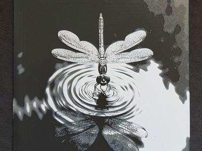 Dragonfly HueForge