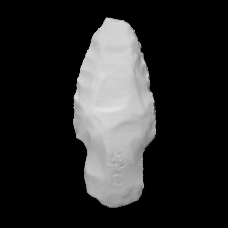 Biface - COADS_126-560