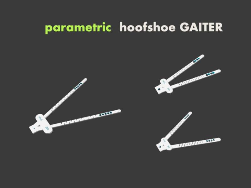 Configurable Pastern strap for hoof boots