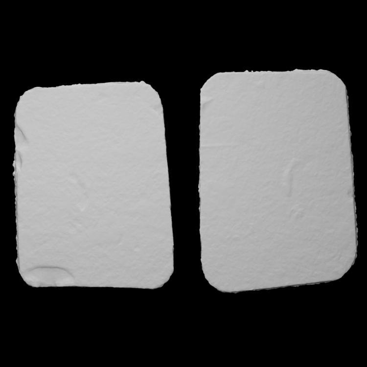 Pair of crabs fossil