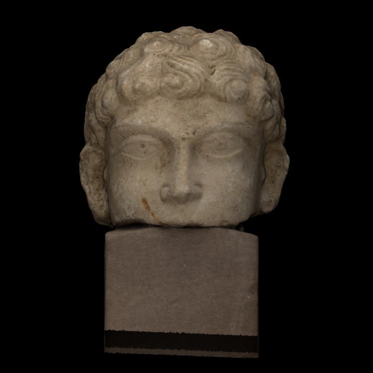 Portrait head from Palmyra
