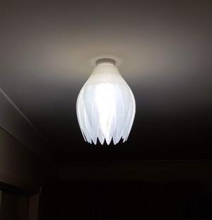 Organic leaf light fitting