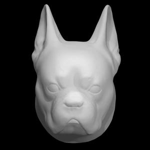 Head of a Bulldog