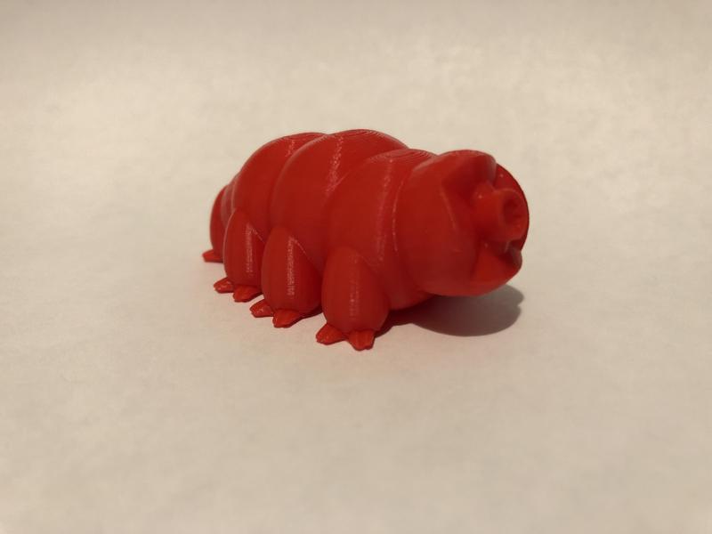 Tardigrade #Tinkercharacters