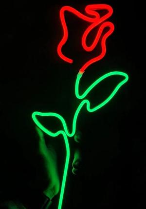 Rose neon led frame  40cm
