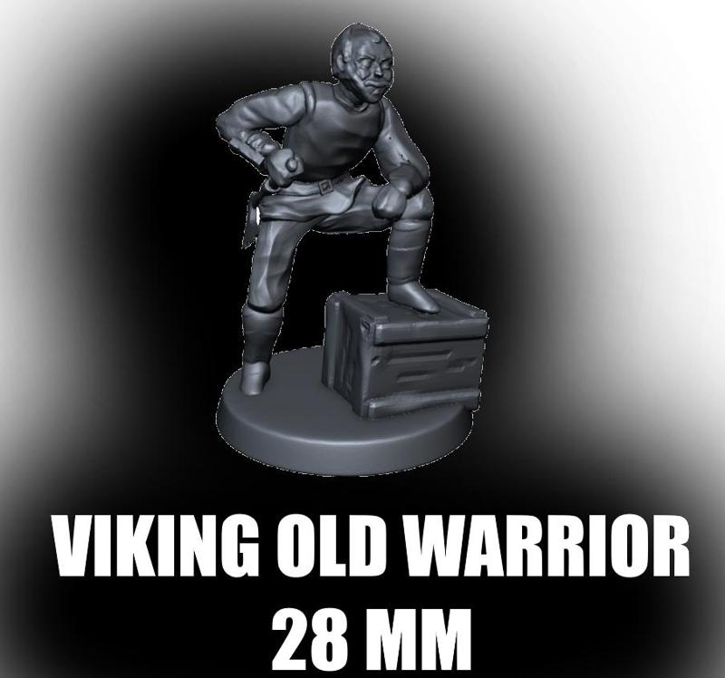Viking Old Warrior Miniature (28mm) (test)