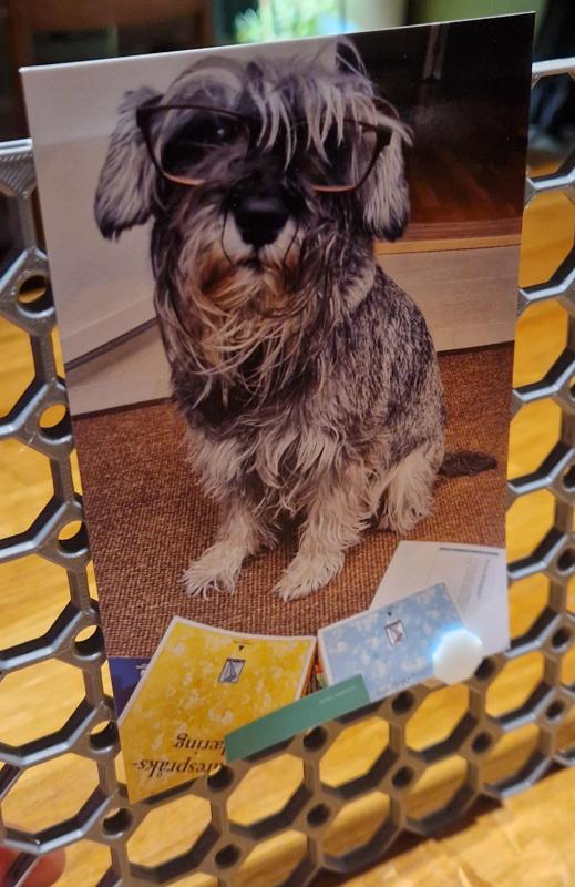 Multiboard Photo Clip