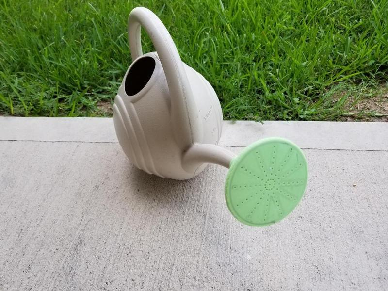 Watering Can Spout Aerator