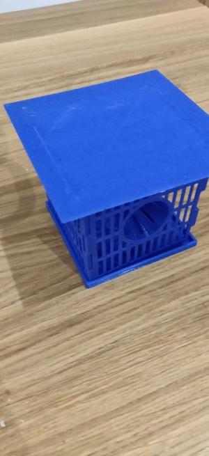 Piége Frelon asiatique kit