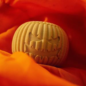 Pumpkontainer - 3D printed pumpkin container!