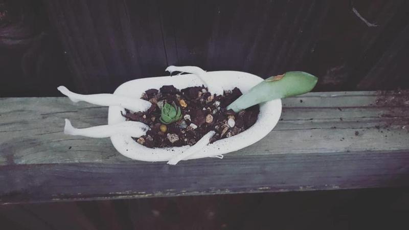 Bathtub Planter