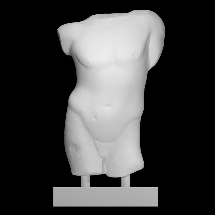 Torso of a Young Male