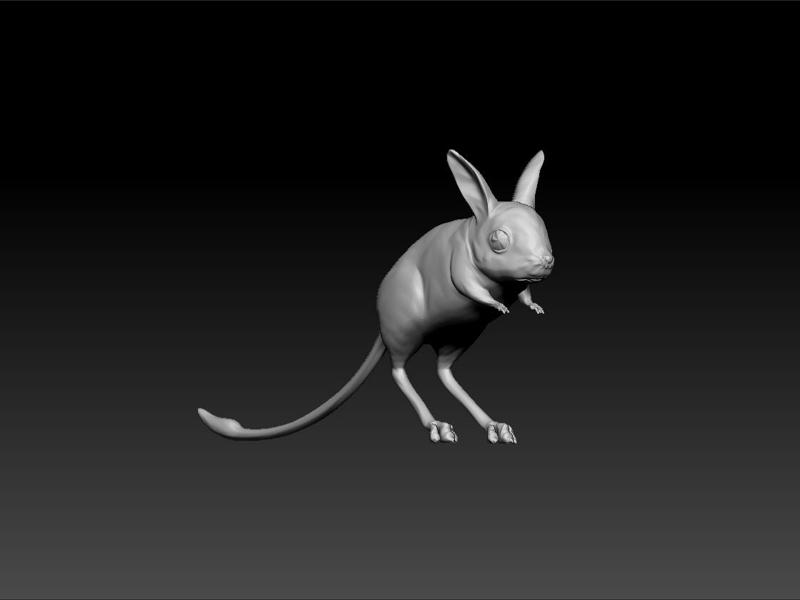 Jerboa - Rodents 3d print - Jerboa  3d model for 3d print