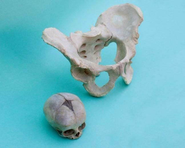 3D4KIDS exercise: The perfect body - Childbirth