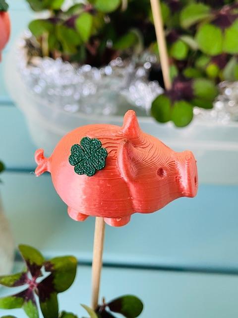 shamrock // Kleeblatt for lucky pig