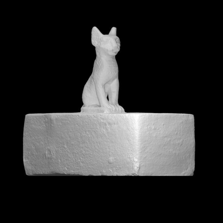 Animal Coffin with a cat figurine