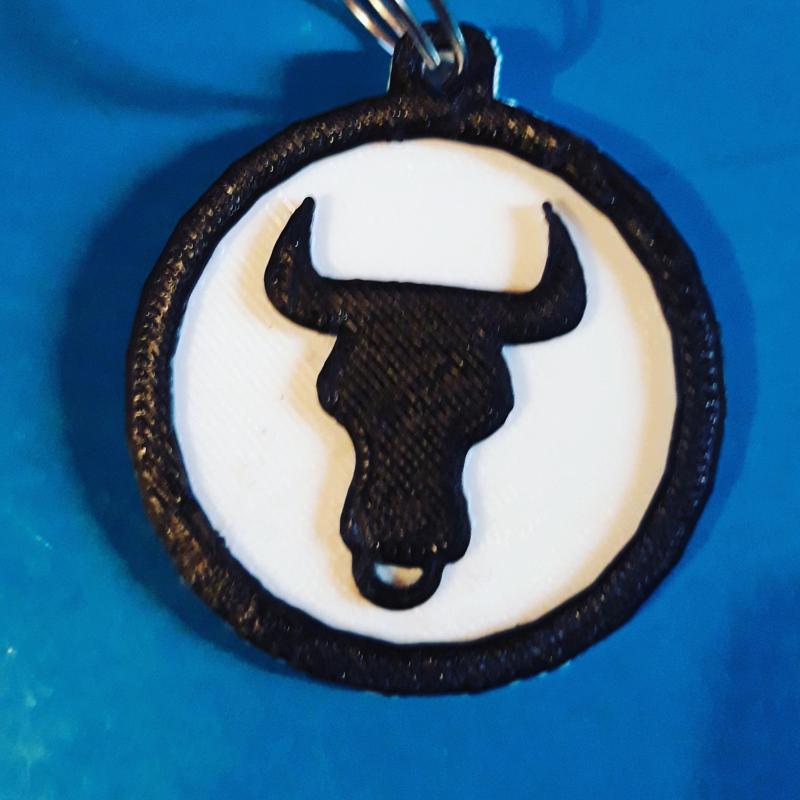 Taurus Keychain
