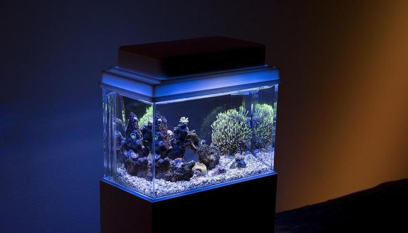 Minicompletetank tuning parts