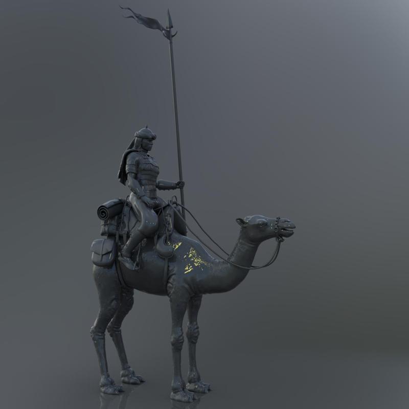 Camel cavalry rider