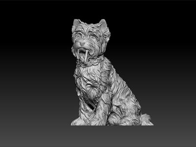 Dog - jacob the yorkie Dog