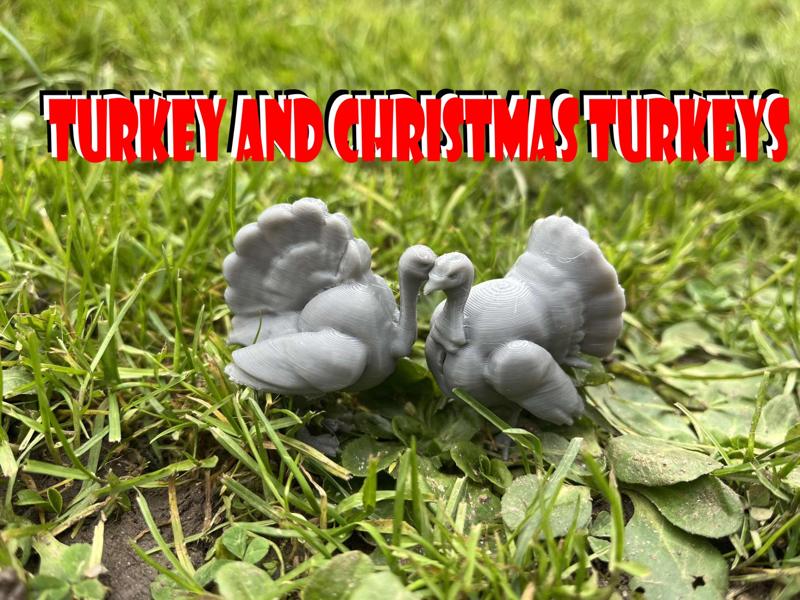 Turkey and Christmas Turkeys