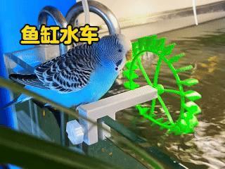 Aquarium water wheel outlet oil film removal hydropower water wheel impeller windmill hydraulic grass tank fish keeping