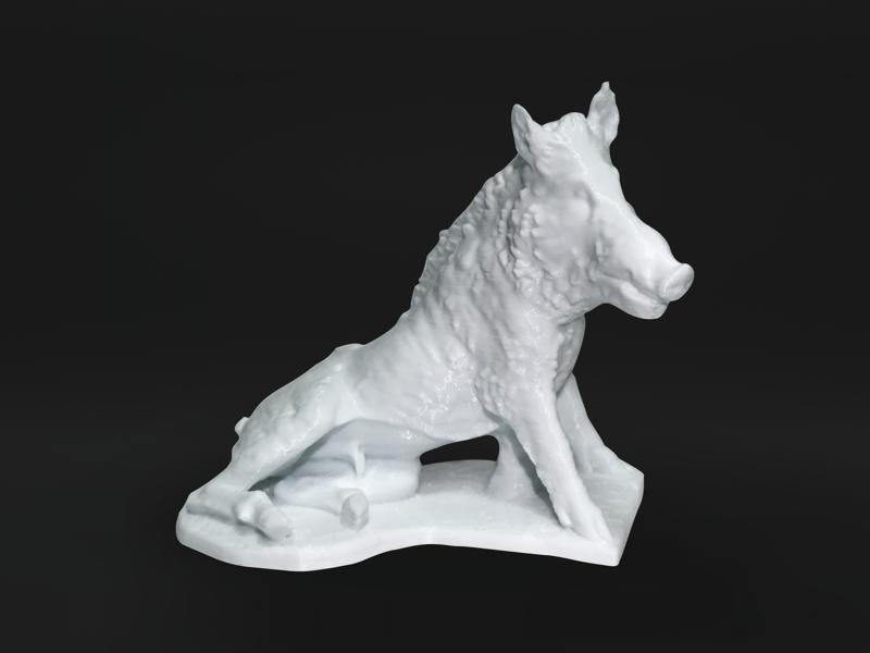 Seated Wild Boar