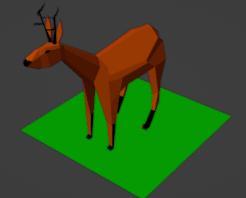 Deer