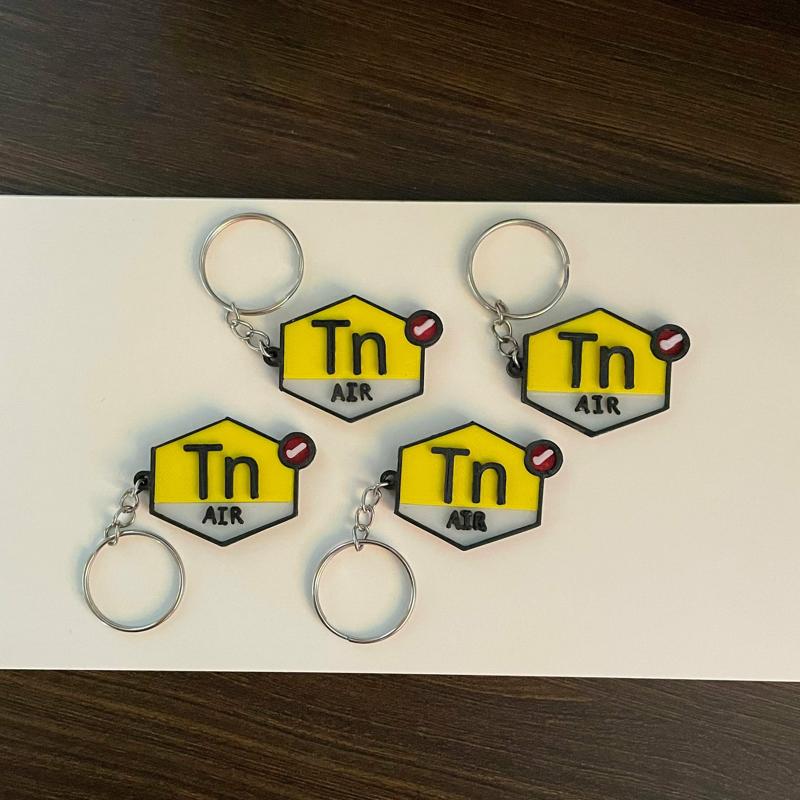 Nike Tuned Air Max Plus Keychain