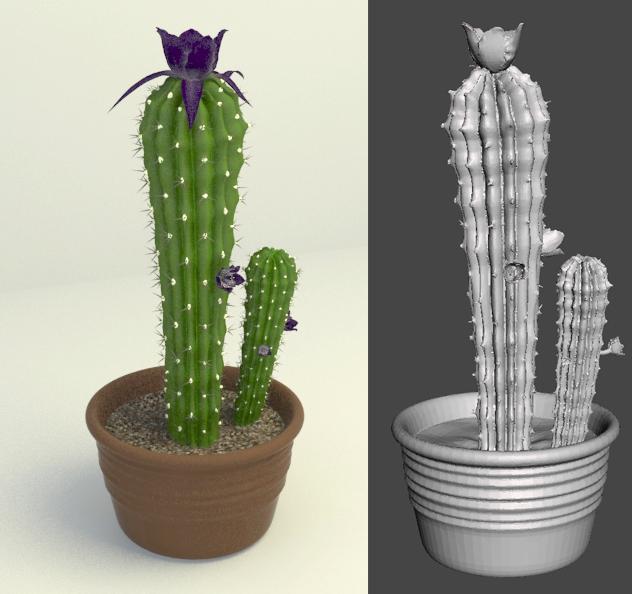 cactus