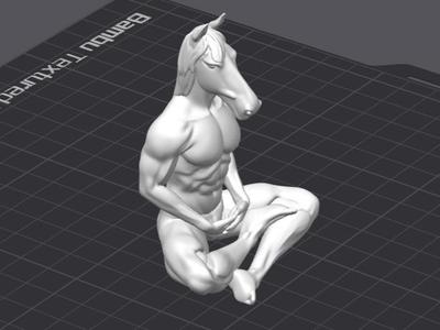 Horse men in position lotos