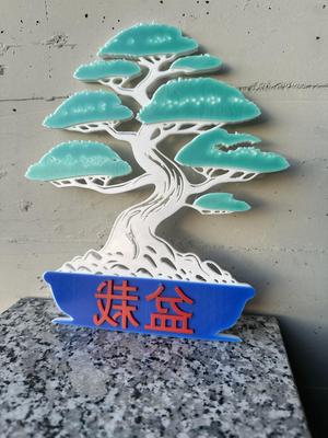 bonsai con vaso e scritta