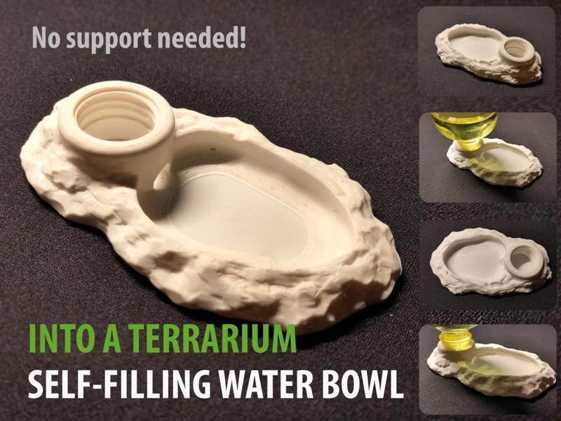 Into a terrarium, self filling water rocky bowl