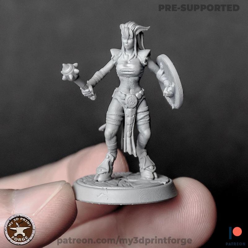 Draenei Female Shaman with Shield