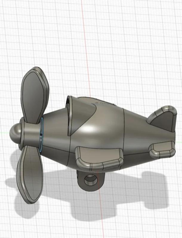 Travel Companion, Small Airplane