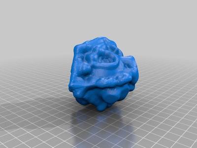 Test_Kopf